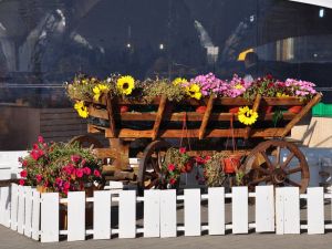 Infiltrazioni lastrico solare proprietà esclusiva