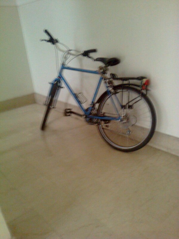 furto bicicletta area condominiale e responsabilita condominio