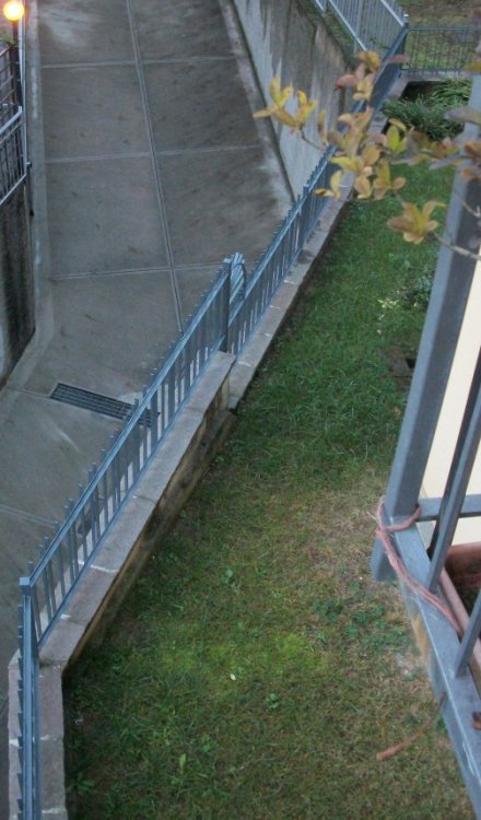100_4068.jpg