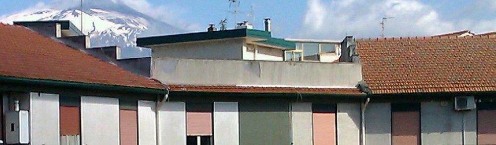 IMAG0336-1-1.jpg