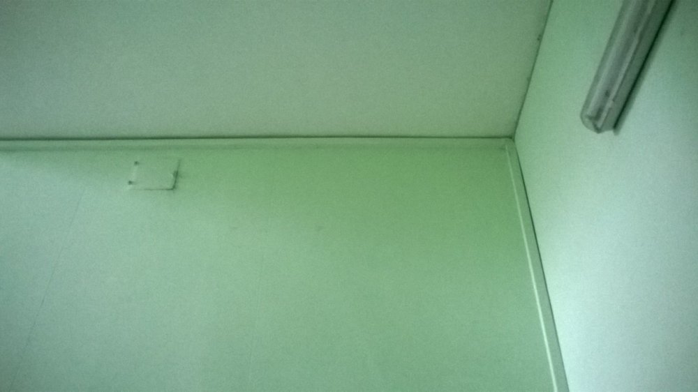 WP_20160208_003.jpg