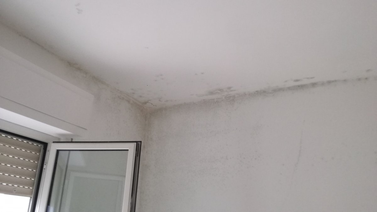 Problemi Di Acqua Che Filtra Sul Soffitto