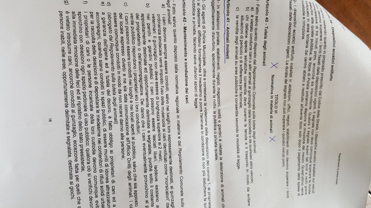 Fac simile lettera all'amministratore di condominio per rumori molesti