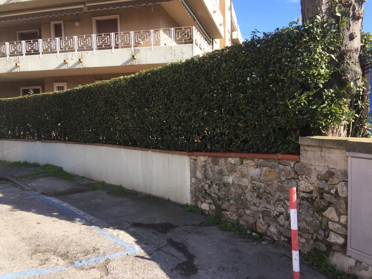Muretto di recinzione - FF80B468 8ECE 4633 9040 B63412CCCD78.jpeg.6879eb76e1c3405e42f827180b8b27b9