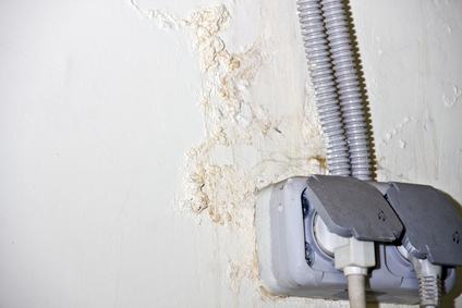 Muro comune e danni da infiltrazione dacqua. il condominio è ... Infiltrazioni di acqua