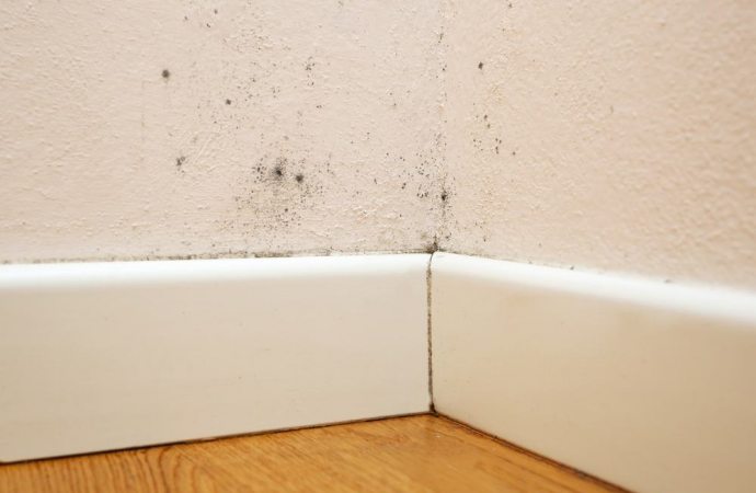 Umidità di risalita nei garage Umidità dal pavimento cosa fare