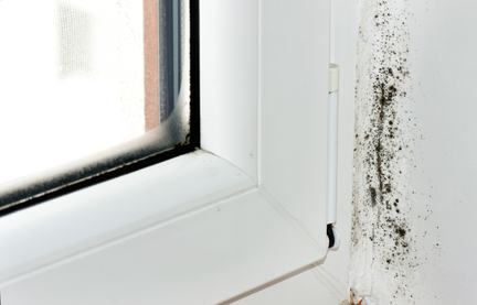 Infiltrazioni dacqua per difetto di costruzione Infiltrazioni di acqua