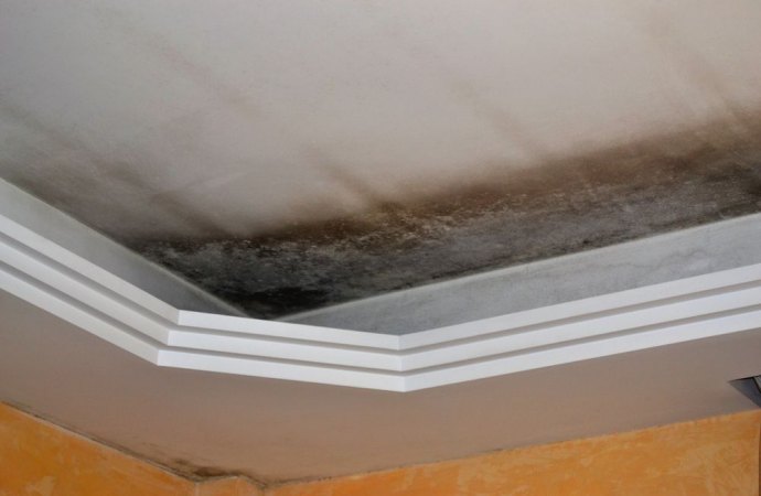 Infiltrazioni in condominio e posizione del conduttore Danni infiltrazioni appartamento sovrastante
