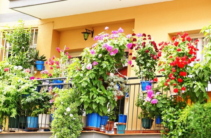 Fioriere o vasi al di fuori del balcone
