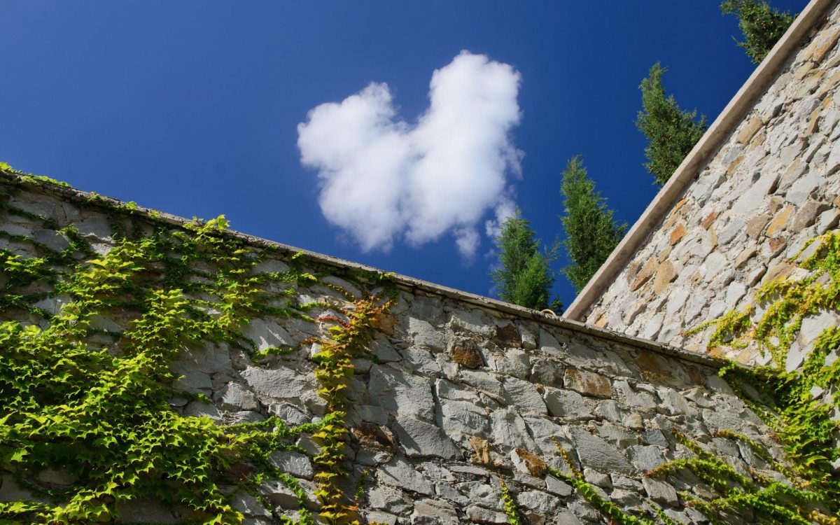 Il muro divisorio tra due edifici si presume comune