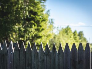 Il rispetto delle distanze degli alberi dal confine cambia in presenza di un muro divisorio dei fondi