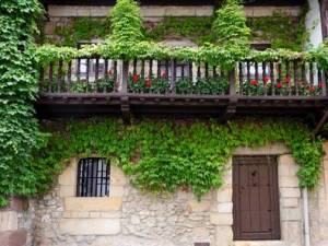 I pannelli ornamentali per i rampicanti possono essere installati sul balcone