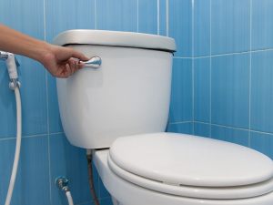 Chi paga la sostituzione dello sciacquone del wc?