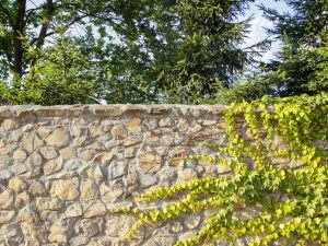 Muro di recinzione del giardino. Ecco quando non è condominiale.