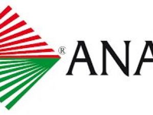 ANACI. La priorità è la certificazione delle competenze. L'albo professionale, per ora, può attendere
