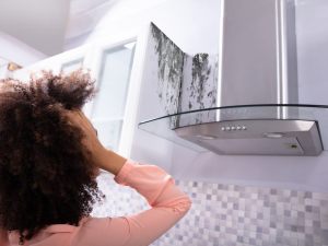 La diminuzione nel godimento del bene per fatto del locatore non giustifica l'omesso versamento o autoriduzione del canone