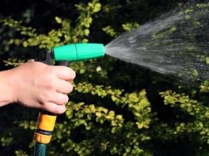 Solo i proprietari degli appartamenti serviti dal giardino condominiale pagano il consumo d'acqua per l'impianto d'innaffiamento