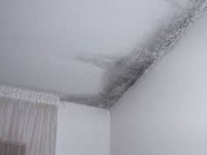 Infiltrazioni nell'appartamento privato provenienti dal lastrico solare comune. È il condominio che paga i danni