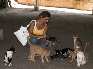 Il sequestro dei gatti non proibisce alla gattara di detenere animali anche se indagata