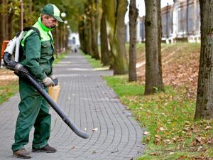 Manutenzione del verde condominiale, dal d.p.c.m 10 aprile 2020 arriva il via libera alla ripresa