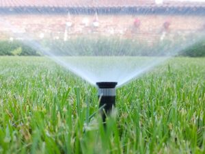 Ripartizione spese manutenzione giardino condominiale