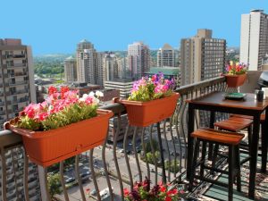 Va considerata come un balcone la parte di lastrico che aggetta dal muro perimetrale dell'edificio
