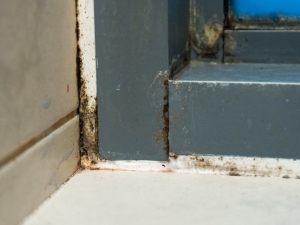 Liquidare il danno da infiltrazione senza fattura, è possibile?