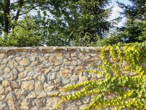 Posso costruire un muro di recinzione del mio giardino?