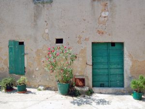 Posso mettere piante in vaso nel cortile condominiale?