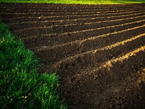 Profili fiscali della compravendita di terreni agricoli