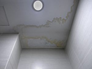 Lettera contestazione infiltrazioni d'acqua, quando va scritta e cosa dire