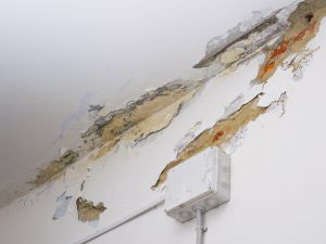 Infiltrazioni: cosa è lecito attendersi dal condomino danneggiato