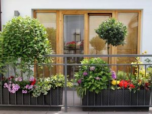 Posso cenare sul balcone con i miei amici?