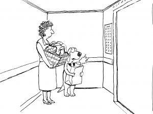 Posso salire con il cane in ascensore?