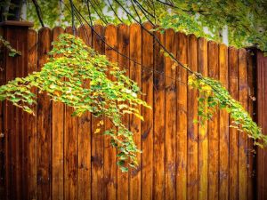 Posso potare i rami del condomino vicino che invadono il mio giardino?