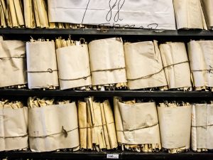 In caso di mancato accesso agli atti condominiali, i condomini dove si possono spingere?