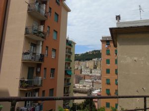 Usucapione tra comunisti e divisione del condominio