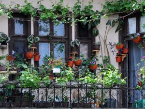 È possibile usucapire il diritto di servitù di veduta da un balcone abusivo?