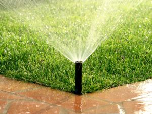 La delibera che impone fasce orarie per l'utilizzo dell'acqua del pozzo comune ad uso irriguo costituisce un'innovazione?