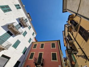 La cessazione del diritto di usufrutto non spetta se l'abuso dell'usufruttuario non è grave