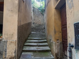 Il comodato per bisogni abitativi non può essere “precario”