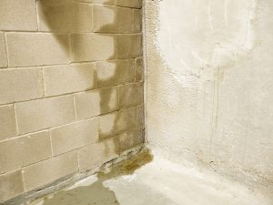Infiltrazioni, inutilizzabilità immobile commerciale e danno da mancato guadagno