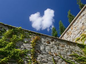 Il muro divisorio tra due edifici si presume comune