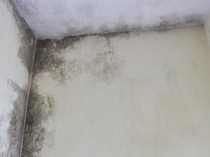 Danni da infiltrazioni e locazione: chi è il custode?