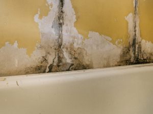 Rottura conduttura idrica e regolamento di fornitura dell'acqua