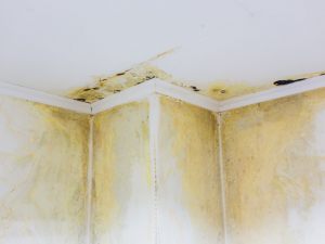 Responsabilità dell'appaltatore per infiltrazioni durante lavori di copertura condominiale