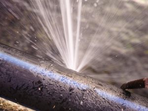 Impianto idrico condominiale: diramazioni, tubazioni parziali, braga, danni, spese ed autoclave