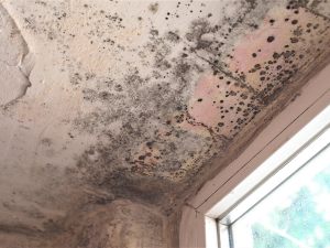 Infiltrazioni provenienti da terrazza condominiale: il risarcimento del danno per mancato guadagno al condomino proprietario dell'immobile danneggiato