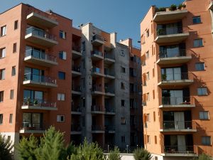 Azione di rivendica e conseguente domanda di usucapione: chi sono i soggetti legittimati all'azione?