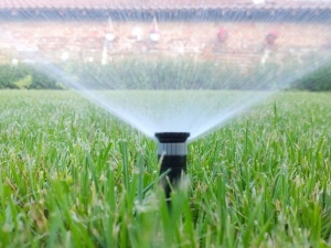 Il semplice stato di abbandono del giardino esclusivo non basta per integrare danno al decoro architettonico
